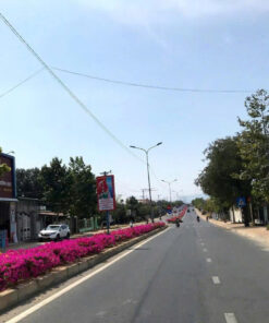 BÁN LÔ ĐẤT THỔ CƯ KP5 TT TÂN SƠN - NINH SƠN - NINH THUẬN.